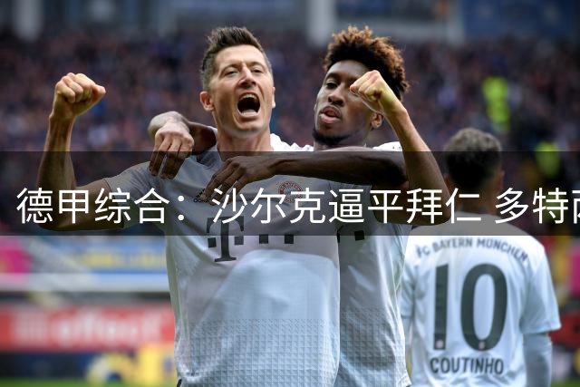 德甲综合：沙尔克逼平拜仁 多特两连胜