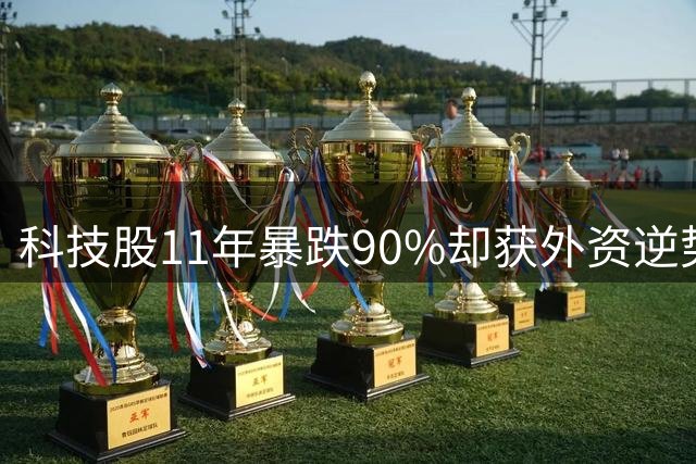 科技股11年暴跌90%却获外资逆势加仓 这家公司有何玄机？